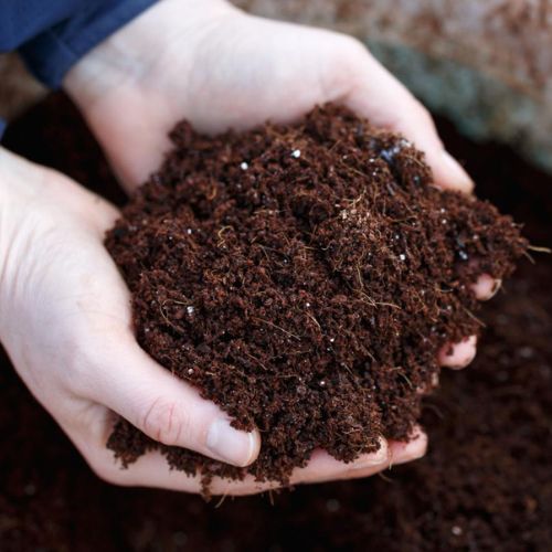 Coco Peat